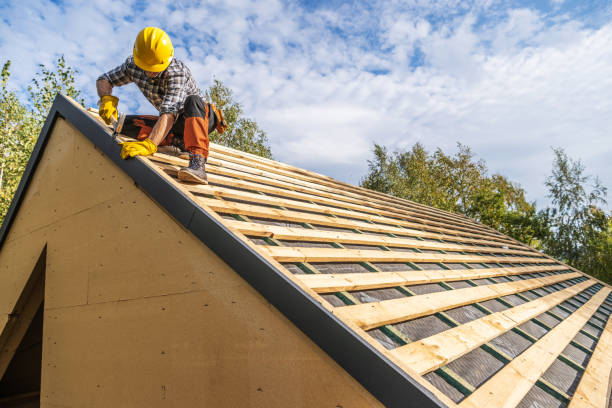 Best Metal Roofing Contractor  in Applewood, CO